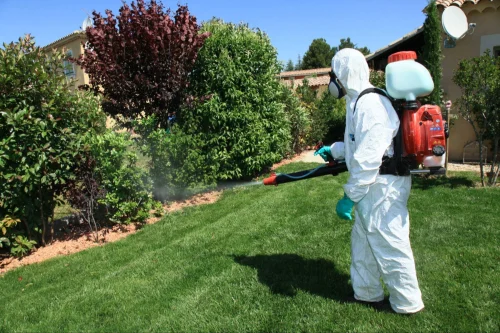 Port Arthur Mosquito Control