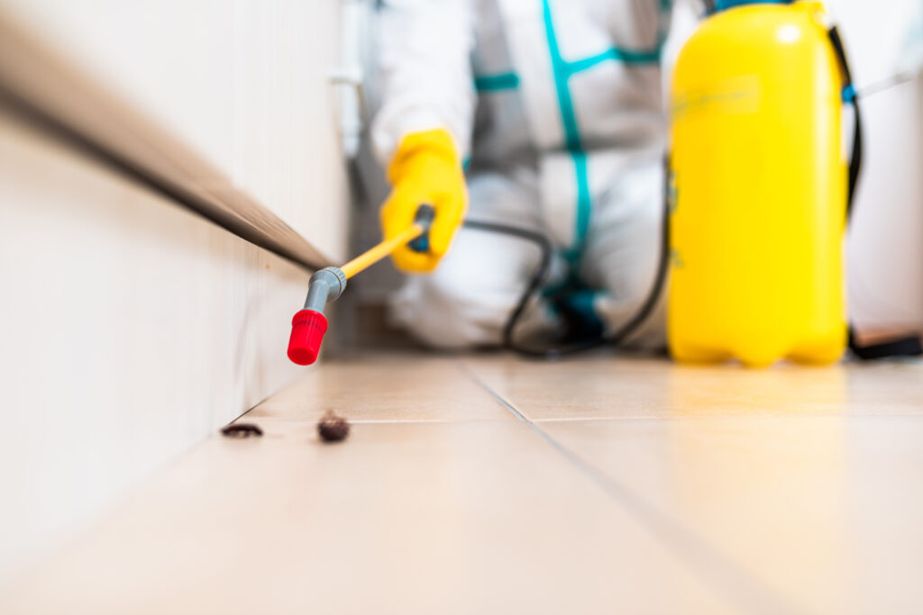Port Arthur Cockroach Experts