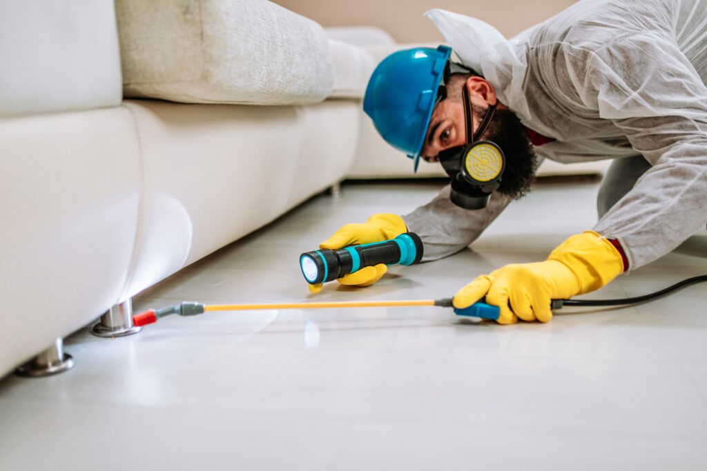 Port Arthur Termite Control