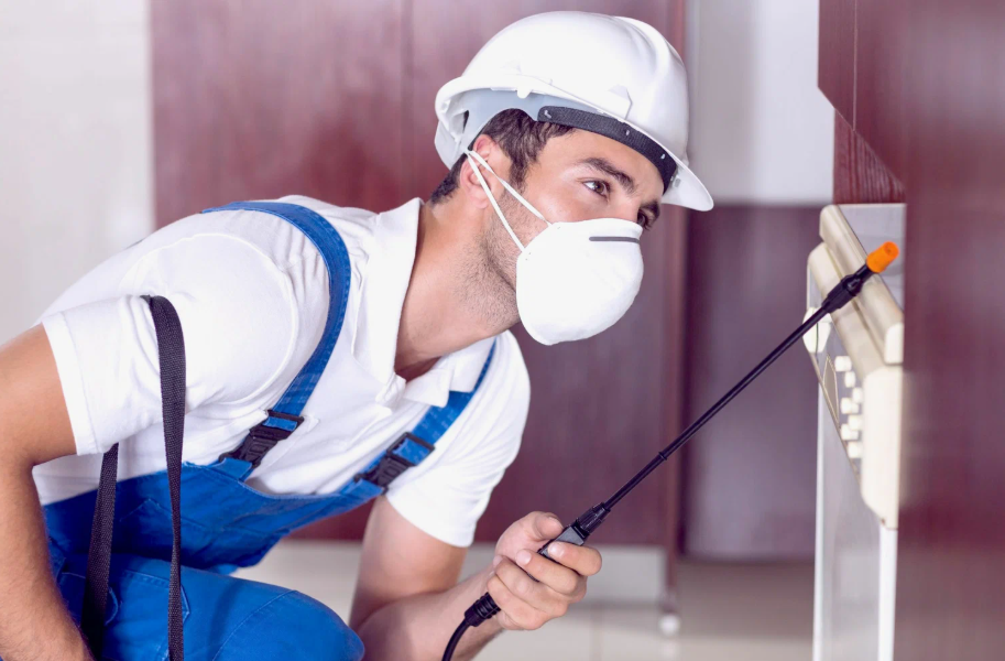 Port Arthur local pest services